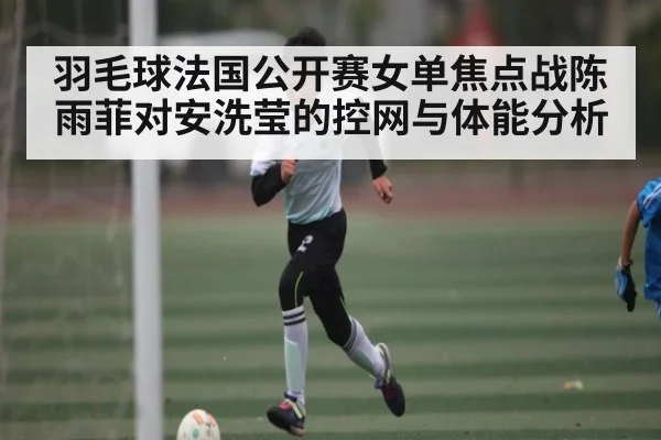 羽毛球法国公开赛女单焦点战陈雨菲对安洗莹的控网与体能分析
